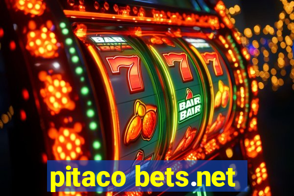 pitaco bets.net